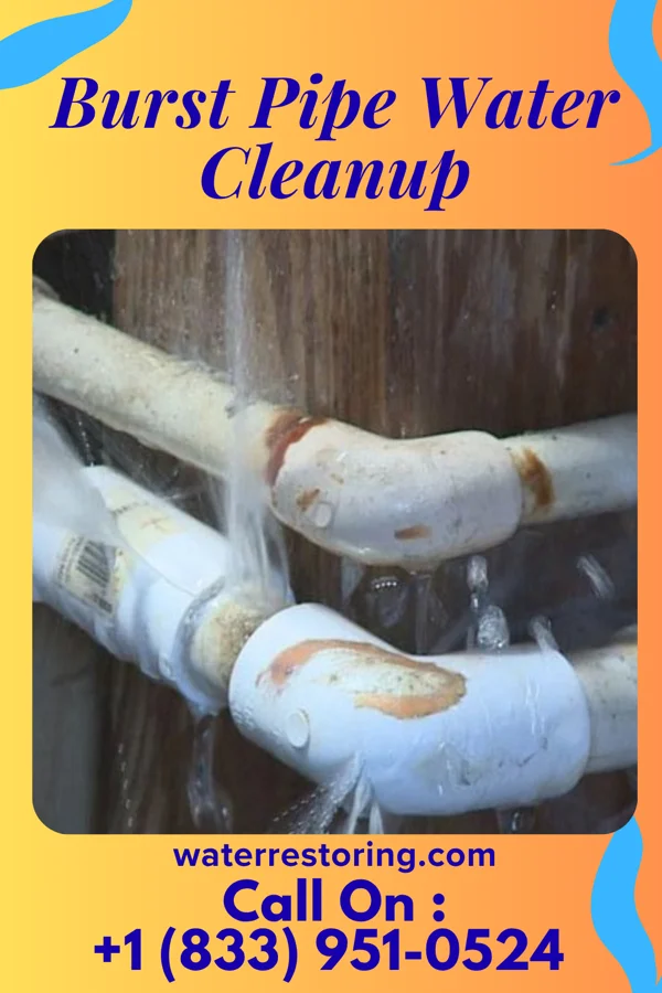 Burst Pipe Water Cleanup in Magnolia, NJ