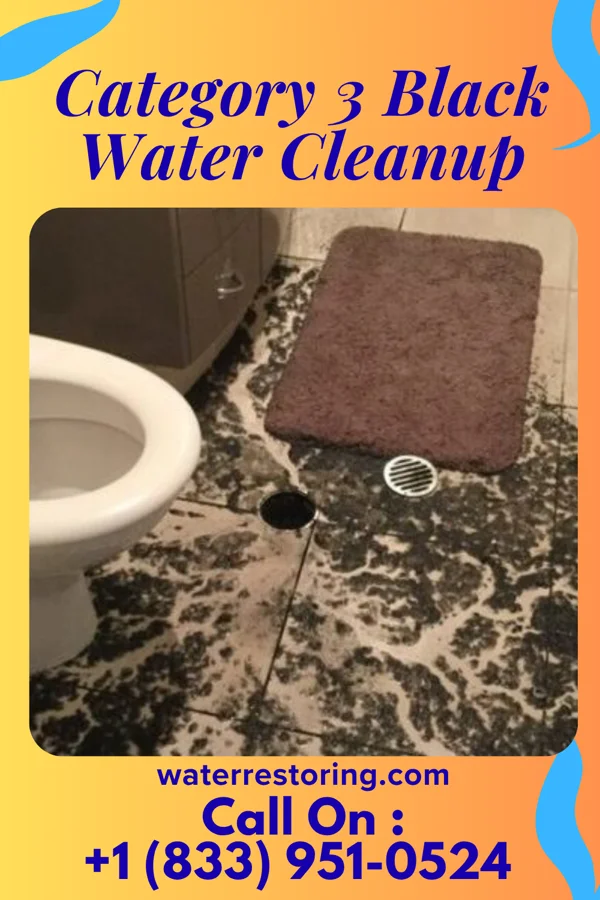 Category 3 Black Water Cleanup in Magnolia, NJ