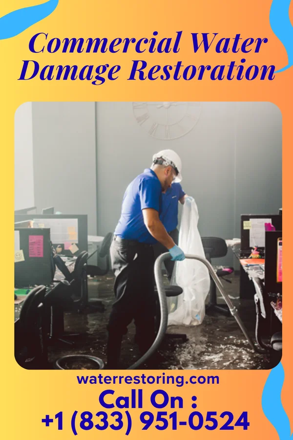Commercial Water Damage Restoration in Magnolia, NJ