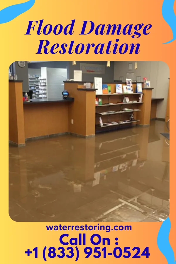 Flood Damage Restoration in Magnolia, NJ