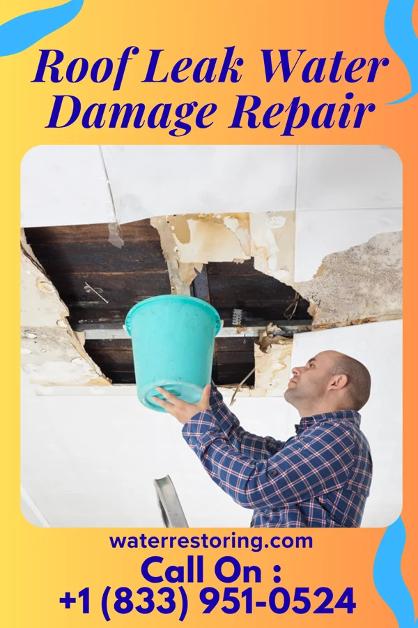 Roof Leak Water Damage Repair in Magnolia, NJ