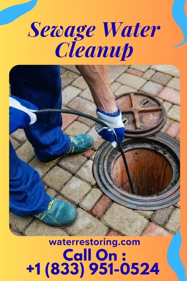 Sewage Water Cleanup in Magnolia, NJ